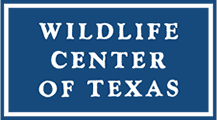 Wildlife Center of Texas