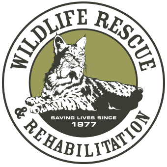  Wildlife Rescue & Rehabilitation